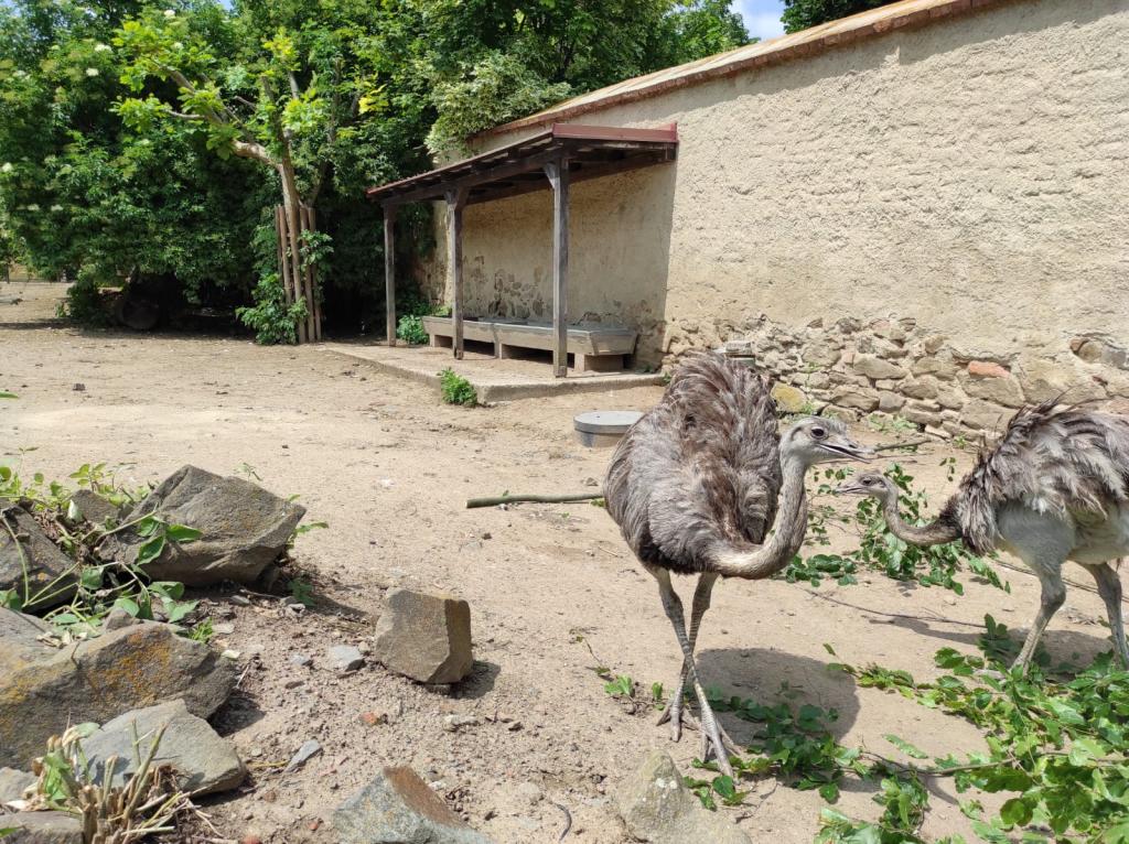 Dinopark a ZOO park Vyškov - 2. třída, 3.AB, 22. 6. 2023
