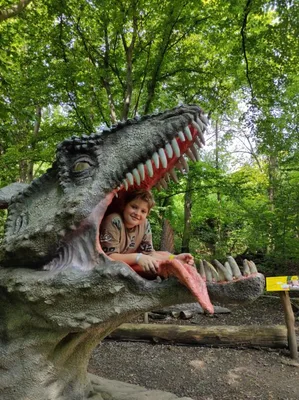 Dinopark a ZOO park Vyškov - 2. třída, 3.AB, 22. 6. 2023