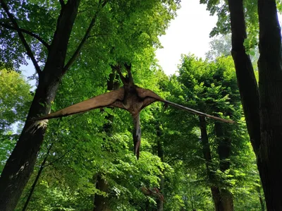Dinopark a ZOO park Vyškov - 2. třída, 3.AB, 22. 6. 2023