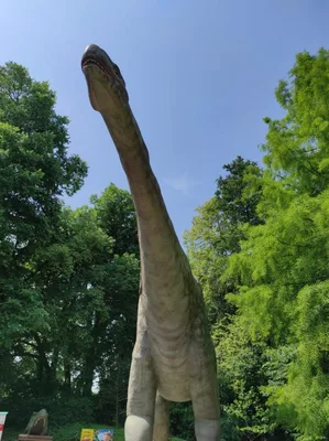 Dinopark a ZOO park Vyškov - 2. třída, 3.AB, 22. 6. 2023