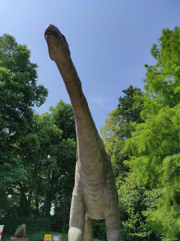 Dinopark a ZOO park Vyškov - 2. třída, 3.AB, 22. 6. 2023