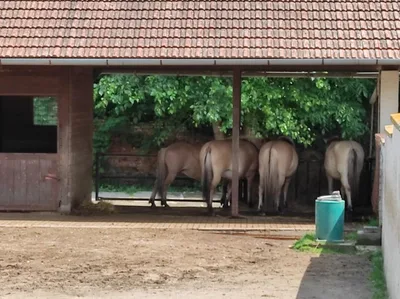 Dinopark a ZOO park Vyškov - 2. třída, 3.AB, 22. 6. 2023