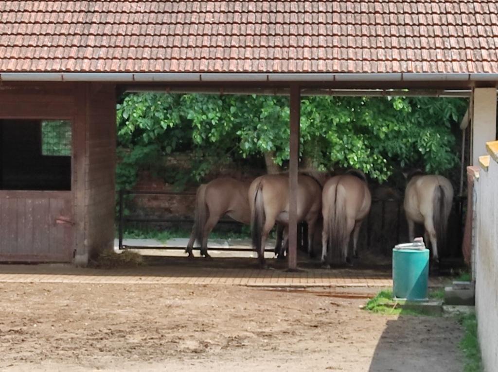 Dinopark a ZOO park Vyškov - 2. třída, 3.AB, 22. 6. 2023