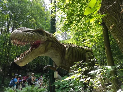 Dinopark a ZOO park Vyškov - 2. třída, 3.AB, 22. 6. 2023