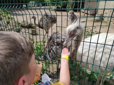 Dinopark a ZOO park Vyškov - 2. třída, 3.AB, 22. 6. 2023