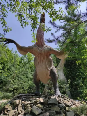 Dinopark a ZOO park Vyškov - 2. třída, 3.AB, 22. 6. 2023
