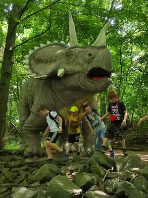 Dinopark a ZOO park Vyškov - 2. třída, 3.AB, 22. 6. 2023