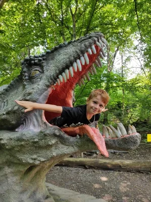Dinopark a ZOO park Vyškov - 2. třída, 3.AB, 22. 6. 2023