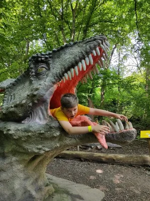 Dinopark a ZOO park Vyškov - 2. třída, 3.AB, 22. 6. 2023