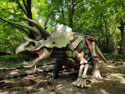 Dinopark a ZOO park Vyškov - 2. třída, 3.AB, 22. 6. 2023