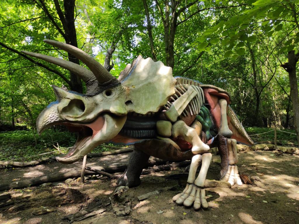 Dinopark a ZOO park Vyškov - 2. třída, 3.AB, 22. 6. 2023