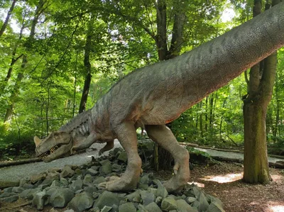 Dinopark a ZOO park Vyškov - 2. třída, 3.AB, 22. 6. 2023