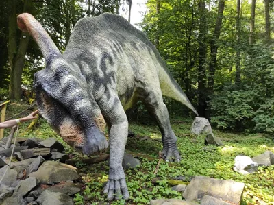 Dinopark a ZOO park Vyškov - 2. třída, 3.AB, 22. 6. 2023