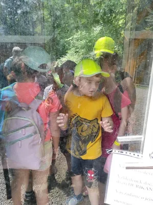 Dinopark a ZOO park Vyškov - 2. třída, 3.AB, 22. 6. 2023