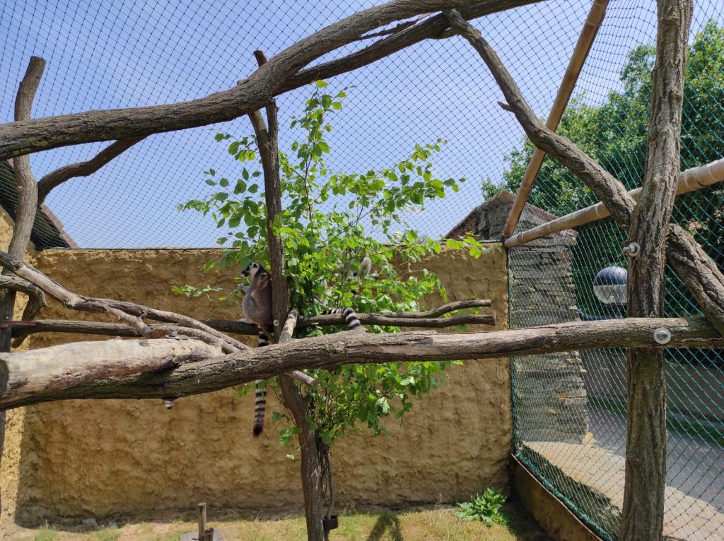 Dinopark a ZOO park Vyškov - 2. třída, 3.AB, 22. 6. 2023