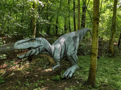 Dinopark a ZOO park Vyškov - 2. třída, 3.AB, 22. 6. 2023