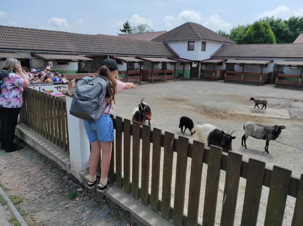 Dinopark a ZOO park Vyškov - 2. třída, 3.AB, 22. 6. 2023