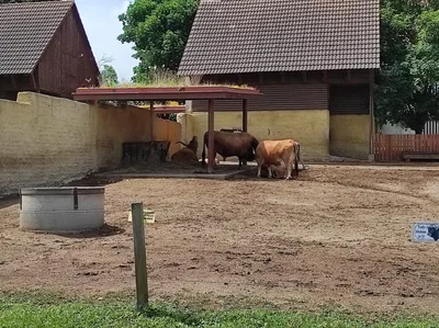 Dinopark a ZOO park Vyškov - 2. třída, 3.AB, 22. 6. 2023