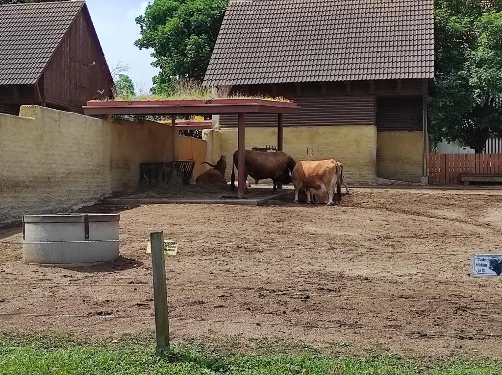 Dinopark a ZOO park Vyškov - 2. třída, 3.AB, 22. 6. 2023