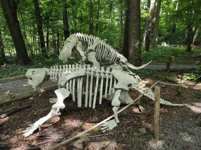 Dinopark a ZOO park Vyškov - 2. třída, 3.AB, 22. 6. 2023