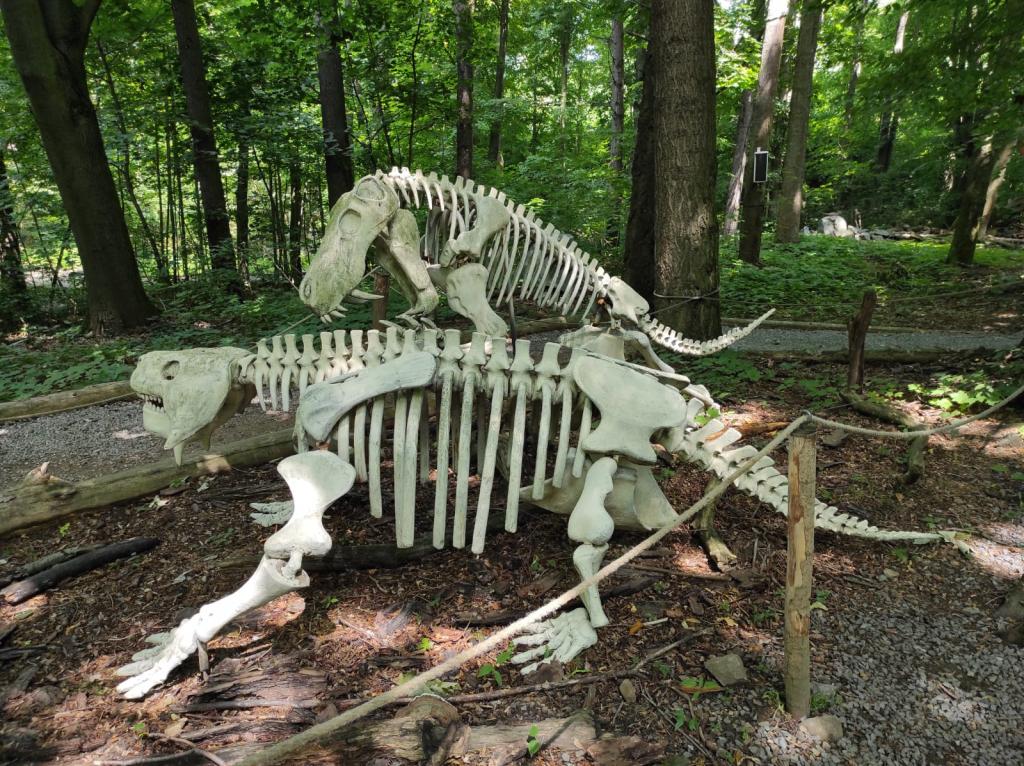 Dinopark a ZOO park Vyškov - 2. třída, 3.AB, 22. 6. 2023