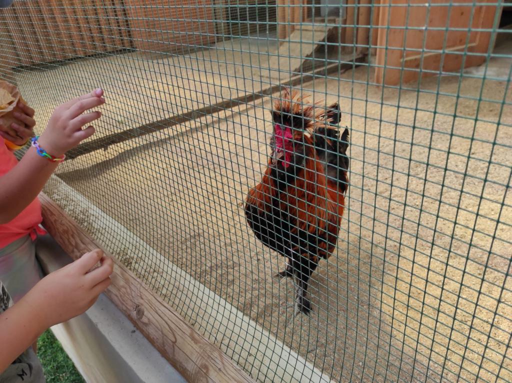 Dinopark a ZOO park Vyškov - 2. třída, 3.AB, 22. 6. 2023