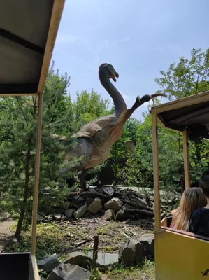 Dinopark a ZOO park Vyškov - 2. třída, 3.AB, 22. 6. 2023