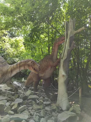 Dinopark a ZOO park Vyškov - 2. třída, 3.AB, 22. 6. 2023