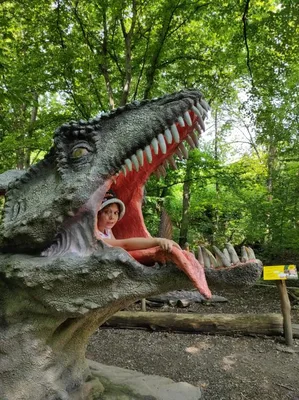 Dinopark a ZOO park Vyškov - 2. třída, 3.AB, 22. 6. 2023