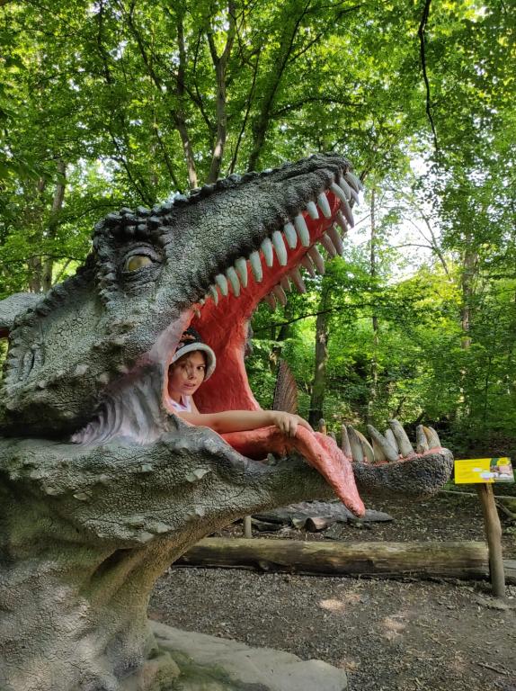 Dinopark a ZOO park Vyškov - 2. třída, 3.AB, 22. 6. 2023