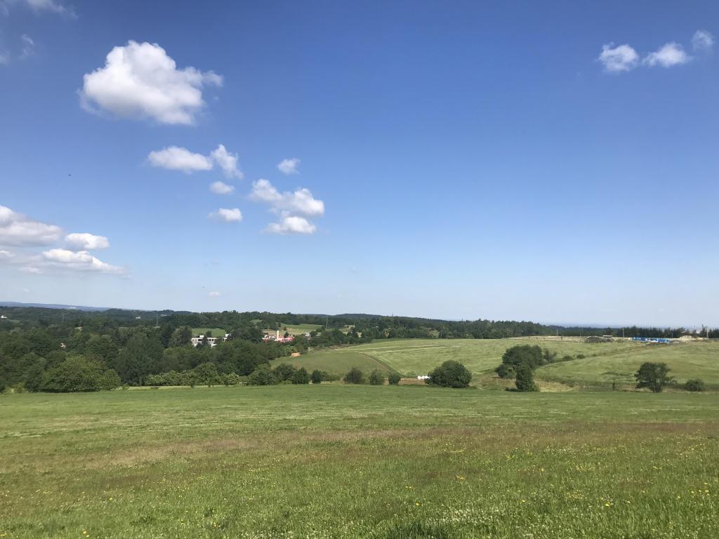 Pečení a piknik v trávě, 29. 6. 2023