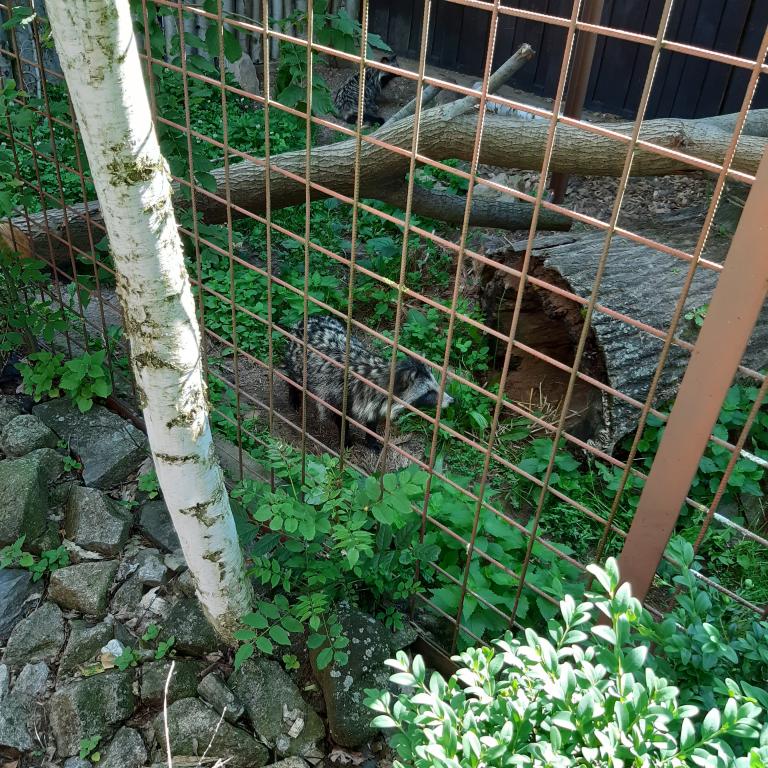 Přípravná třída v Záchranné stanici Pasíčka, 26. 6. 2023