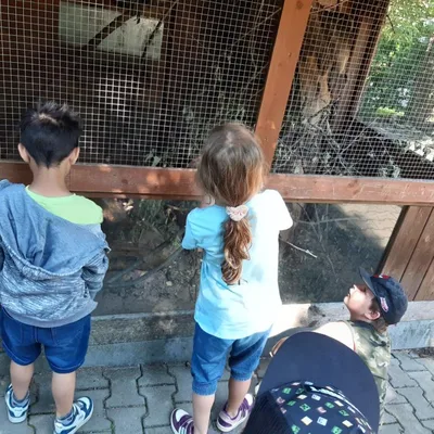 Přípravná třída v Záchranné stanici Pasíčka, 26. 6. 2023