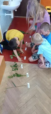 Prvouka, 22. 6. 2023
