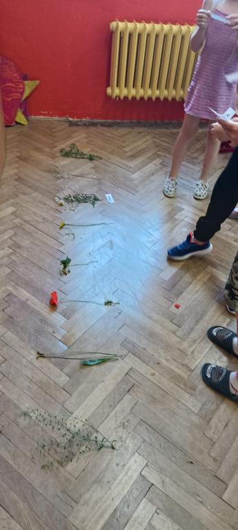 Prvouka, 22. 6. 2023