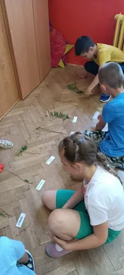 Prvouka, 22. 6. 2023