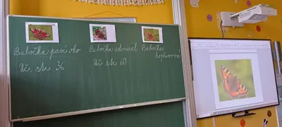 Prvouka, 22. 6. 2023