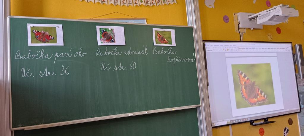 Prvouka, 22. 6. 2023