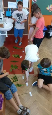 Prvouka, 22. 6. 2023