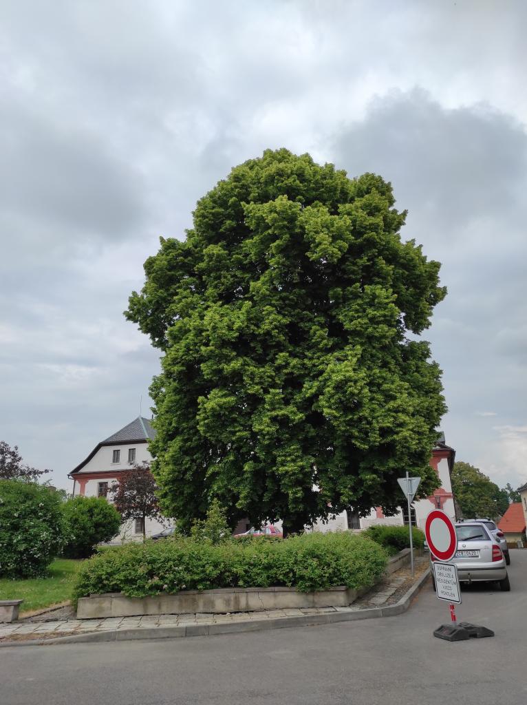 Škola v přírodě 3.A a 3.B - den čtvrtý, 9. 6. 2023