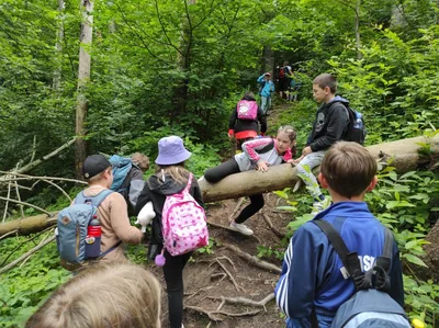 Škola v přírodě 3.A a 3.B - den čtvrtý, 9. 6. 2023