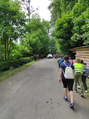 Škola v přírodě 3.A a 3.B - den čtvrtý, 9. 6. 2023