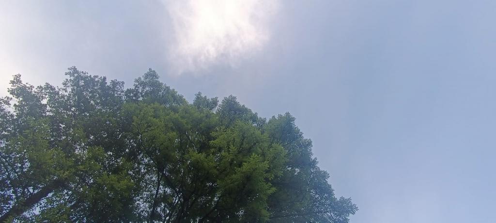 Škola v přírodě 3.A a 3.B - den třetí, 8. 6. 2023