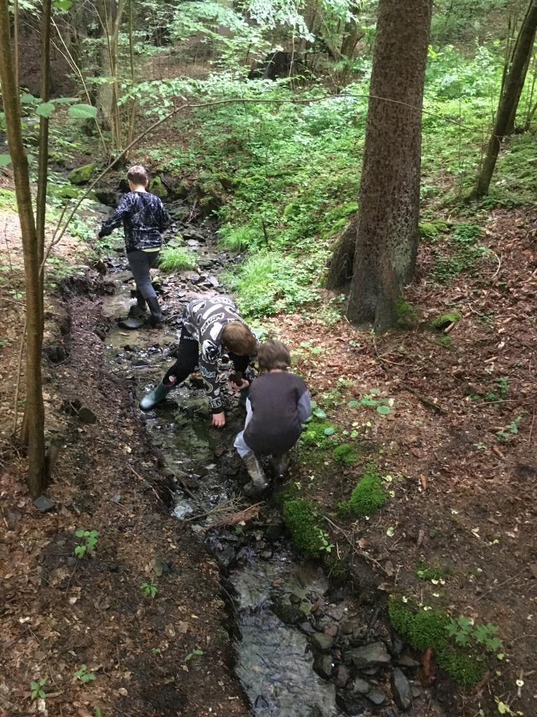 Škola v přírodě 3.A a 3.B - den první, 6. 6. 2023