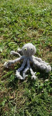 Vyrábíme chobotničky, 14. 6. 2023