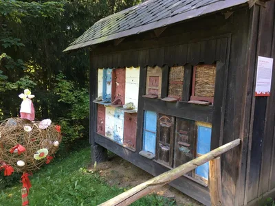 Exkurze - Národní muzeum Veselý Kopec, 7. 9. 2023