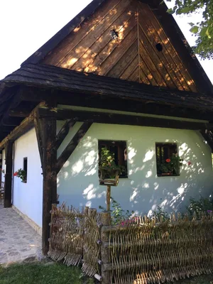 Exkurze - Národní muzeum Veselý Kopec, 7. 9. 2023
