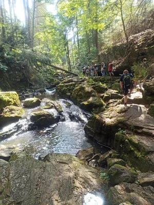 NAUČNÁ STEZKA ÚDOLÍM DOUBRAVY, 13. 9. 2023