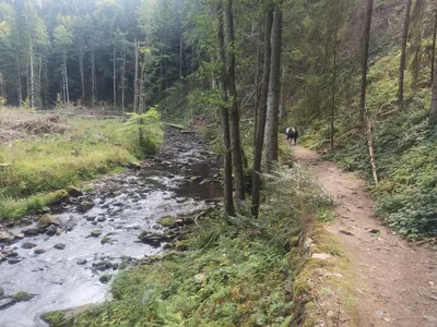 NAUČNÁ STEZKA ÚDOLÍM DOUBRAVY, 13. 9. 2023
