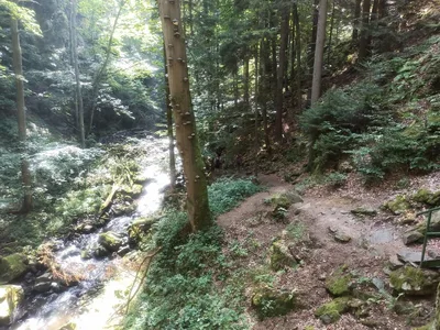 NAUČNÁ STEZKA ÚDOLÍM DOUBRAVY, 13. 9. 2023